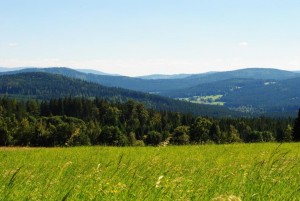 Böhmerwald 1 web